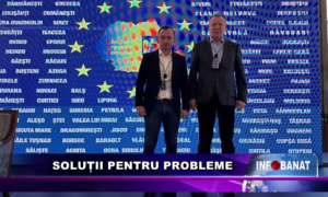 Soluții pentru probleme