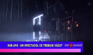 Sub apă  – un spectacol ce trebuie văzut