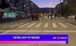 Pieton lovit pe trecere