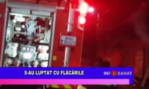 S-au luptat cu flăcările