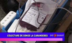 Colectare de sânge la Caransebeș