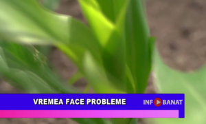 Vremea face probleme