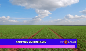 Campanie de informare