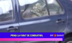 Prinși la furat de combustibil