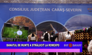 Banatul de Munte a strălucit la Romexpo