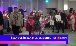 Fășangul în Banatul de munte