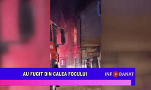 Au fugit din calea focului