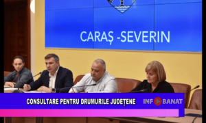 Consultare pentru drumurile județene