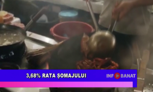 3,68% rata șomajului