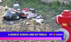 A aruncat gunoiul unde nu trebuia