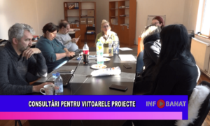 Consultări pentru viitoarele proiecte