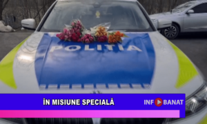 În misiune specială