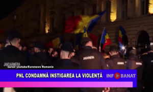 PNL condamnă instigarea la violență