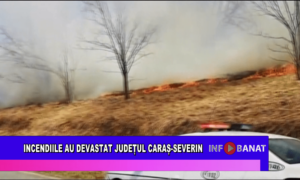 Incendiile au devastat județul Caraș-Severin