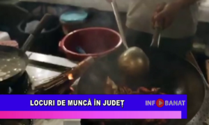 Locuri de muncă în județ