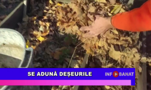 Se adună deșeurile