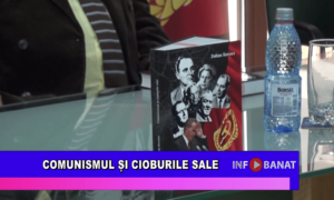 Comunismul și cioburile sale