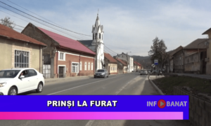 Prinși la furat