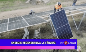 Energie regenerabilă la Fârliug