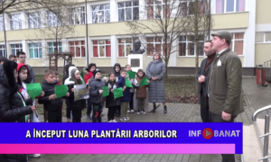 A început luna plantării arborilor