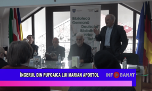 Îngerul din pufoaica lui Marian Apostol