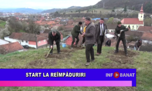 Start la reîmpăduriri