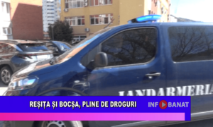 Reșița și Bocșa, pline de droguri