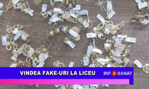 Vindea fake-uri la liceu