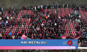 Hai Metalul !