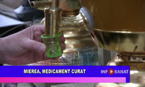 Mierea, medicament curat